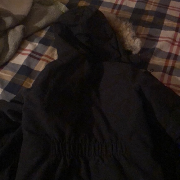 Canadian goose - Picture 2 of 6